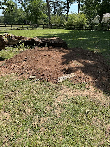 Neat mound of fresh woodchips mulch left after tree stump removal in Murfreesboro TN