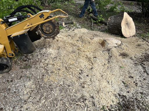 Yellow Vermeer stump grinder machine shaving down a tree stump in Rutherford County